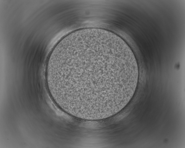 X0000115081094200912081206