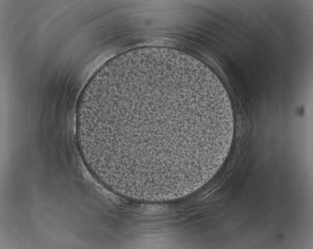 X0000115081095200912081206