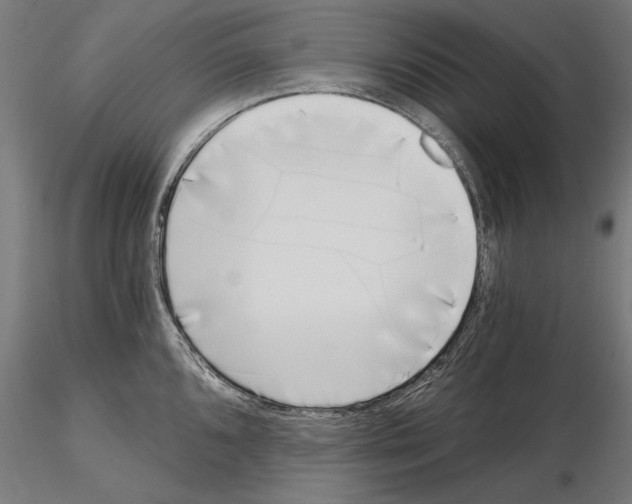 X0000115081096200912081206