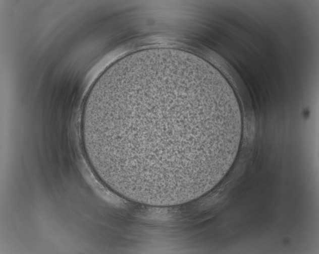 X0000115081098200912081206