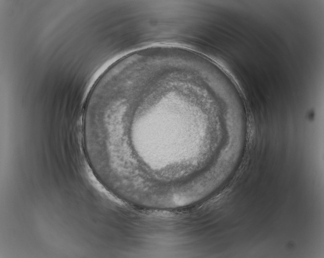 X0000115081100200912081206