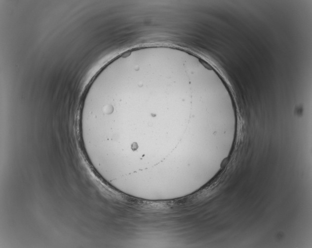 X0000115081101200912081206