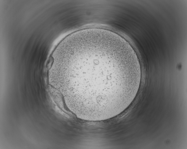 X0000115081102200912081206