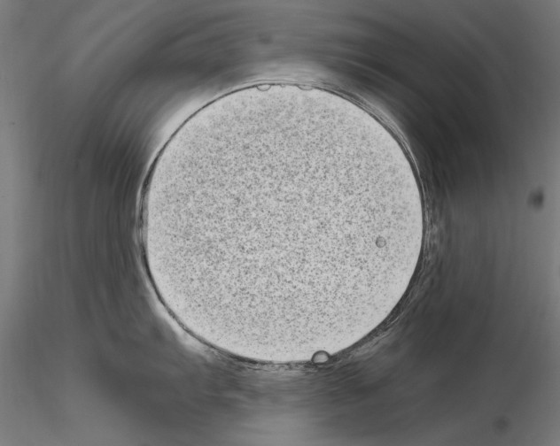 X0000115081103200912081205