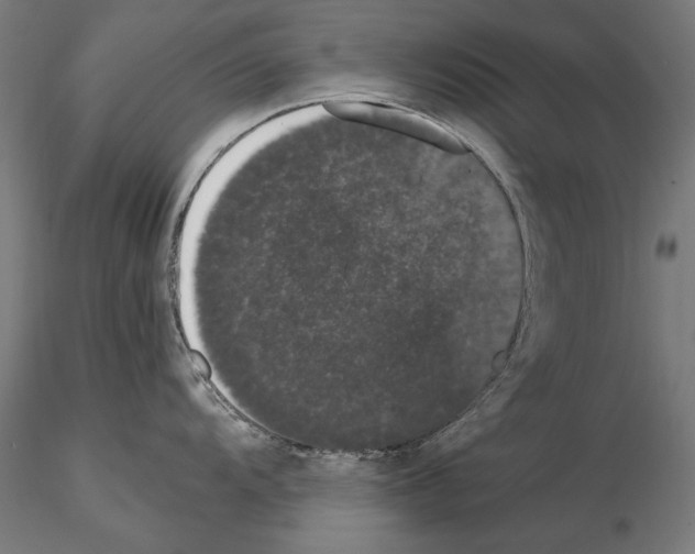 X0000115081104200912081205