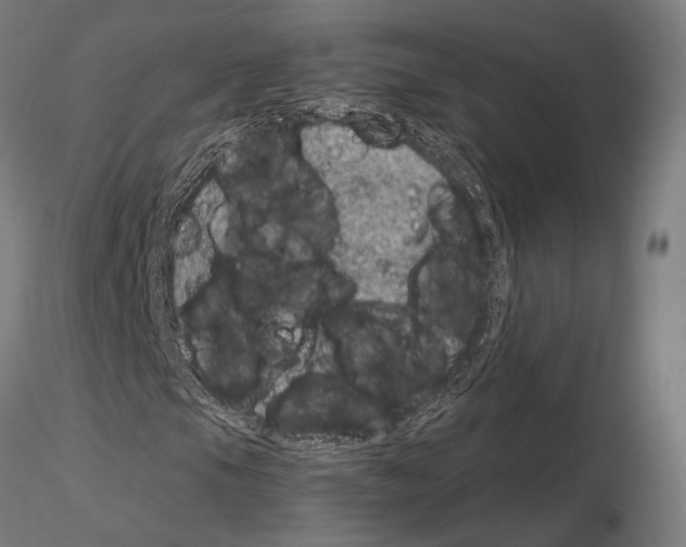 X0000115081105200912081205