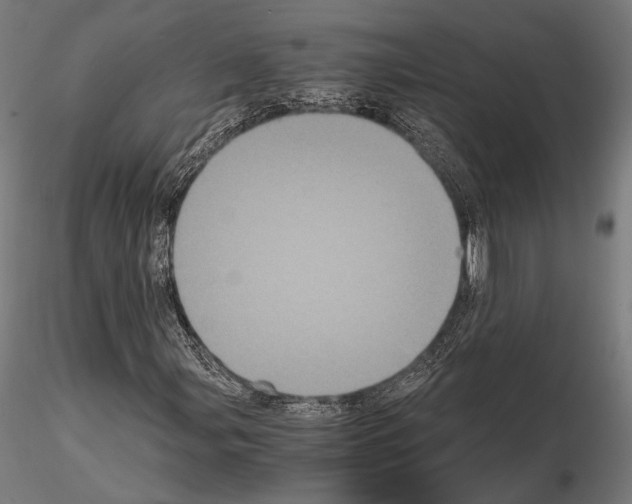 X0000115081107200912081205