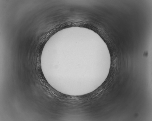 X0000115081109200912081205