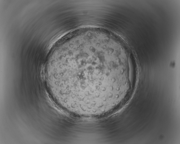 X0000115081113200912081205