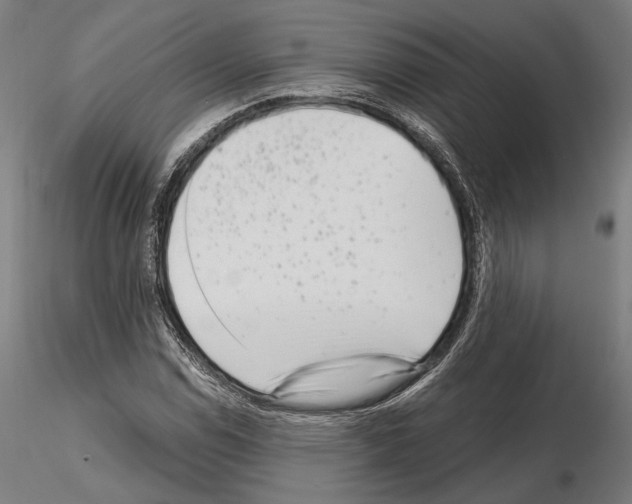 X0000115081114200912081205