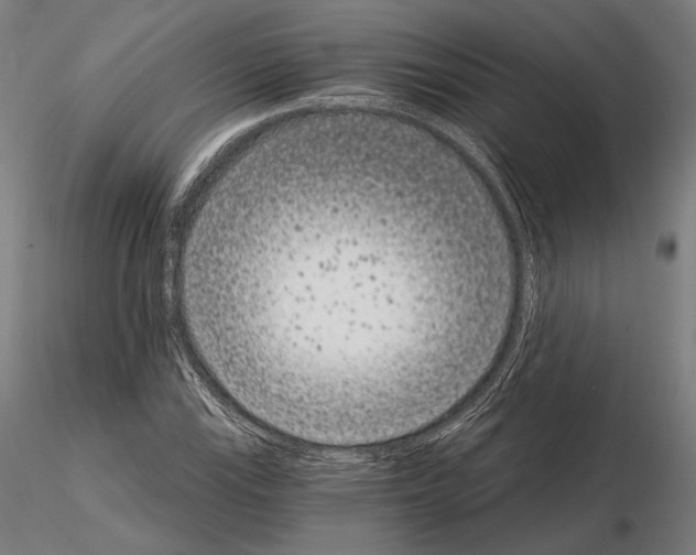 X0000115081115200912081205