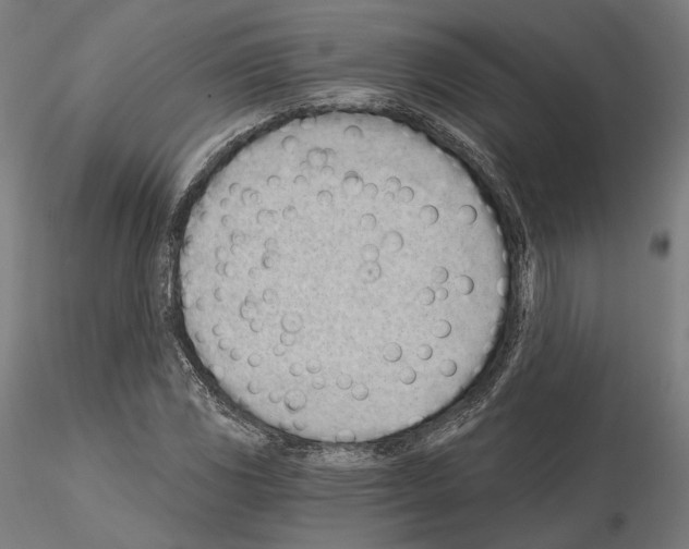 X0000115081117200912081205