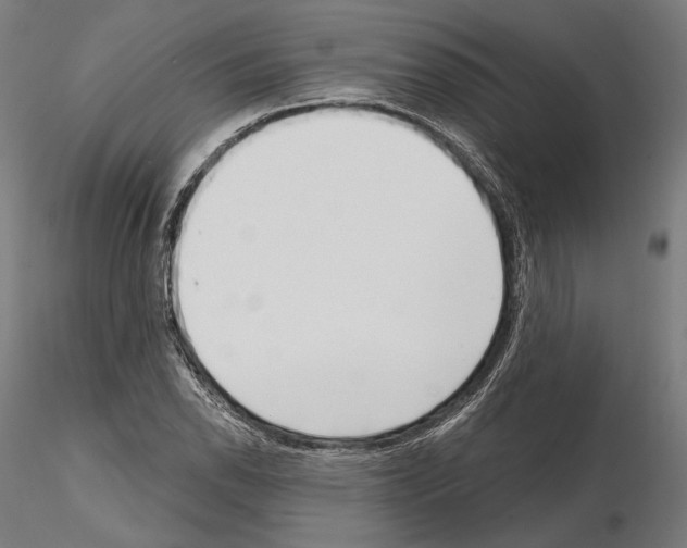 X0000115081118200912081205