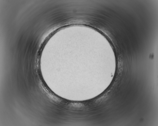 X0000115081119200912081205