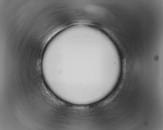 X0000115081121200912081205