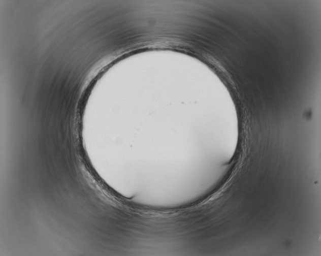 X0000115081122200912081205