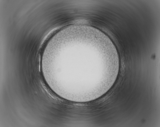 X0000115081123200912081205