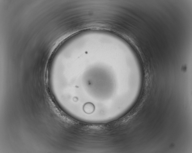 X0000115081125200912081205