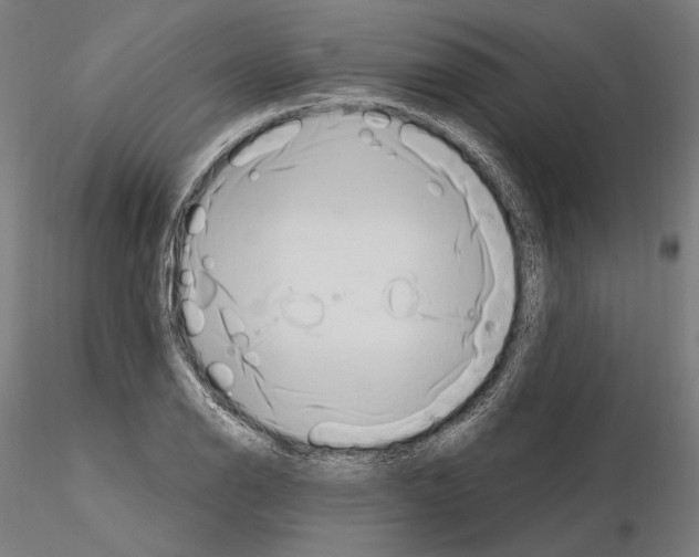 X0000115081126200912081205