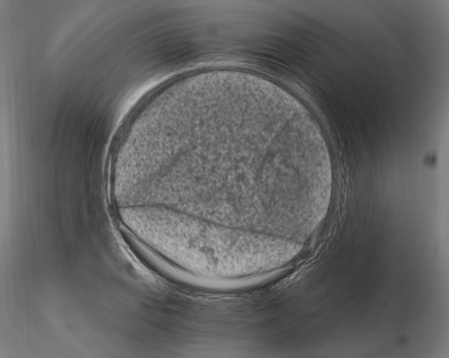 X0000115081127200912081205