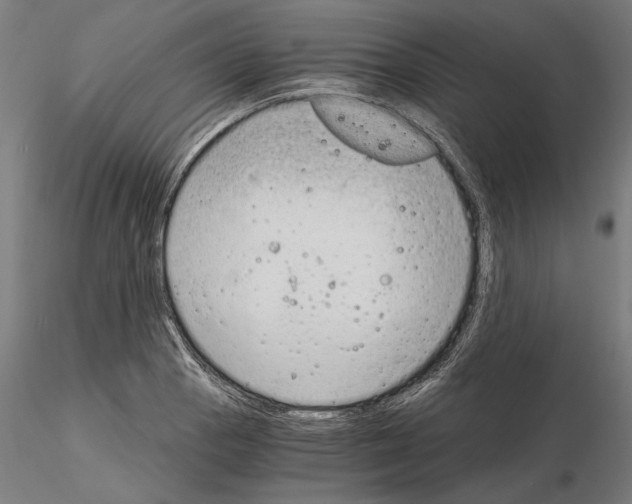 X0000115081129200912081205