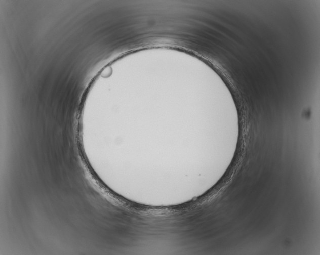 X0000115081134200912081205