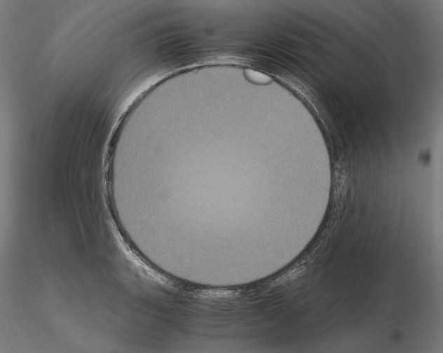 X0000115081135200912081205