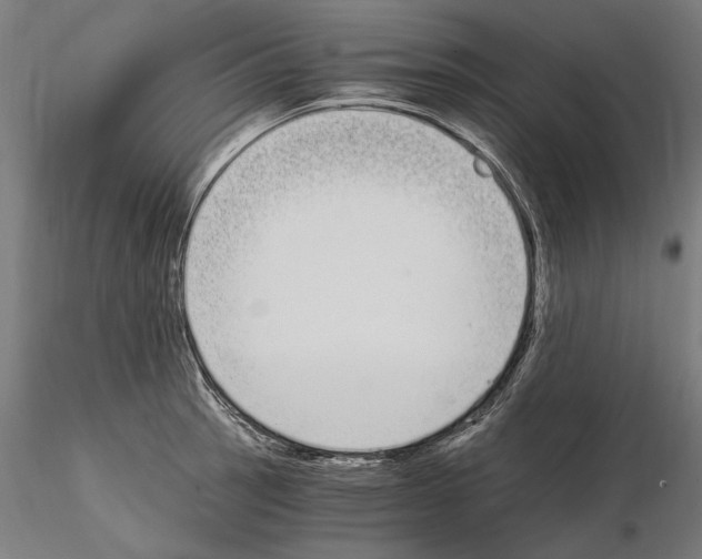 X0000115081137200912081205