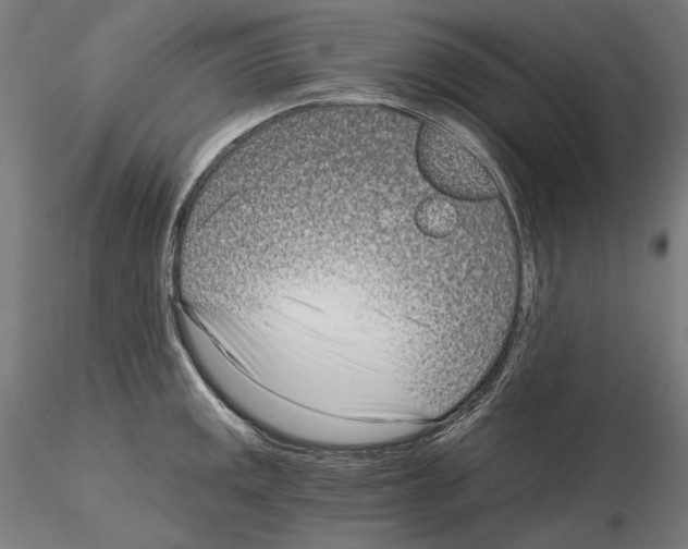 X0000115081141200912081205