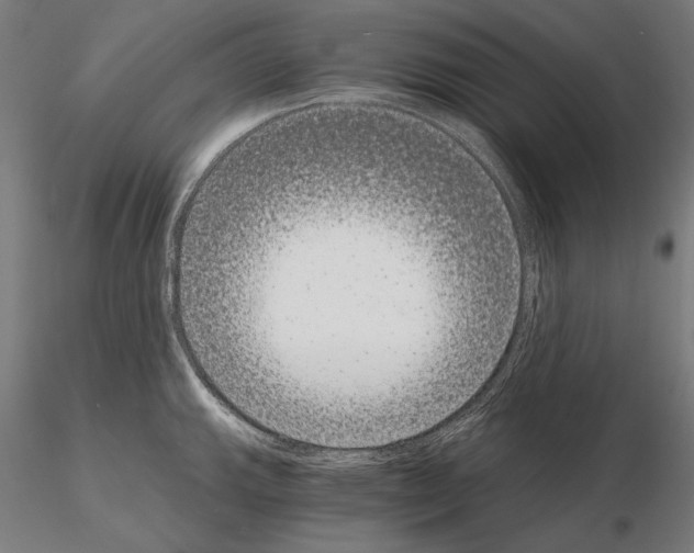 X0000115081143200912081205