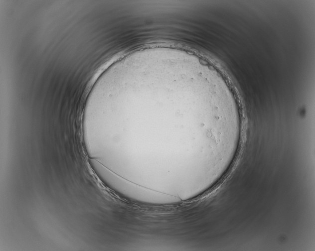 X0000115081145200912081205