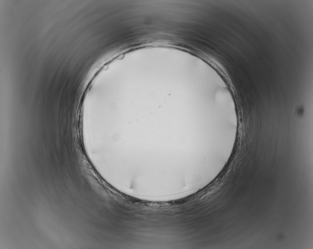 X0000115081146200912081205