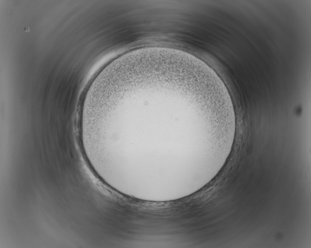 X0000115081147200912081205