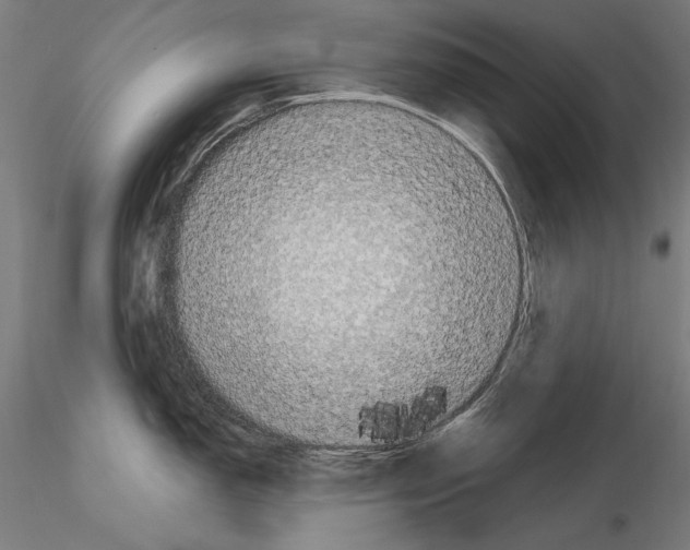 X0000115081150200912081205