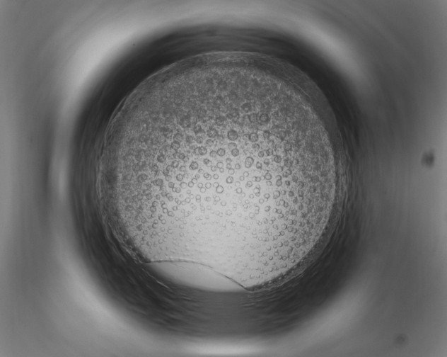 X0000115081151200912081205