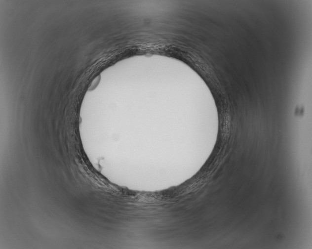 X0000115081153200912081205