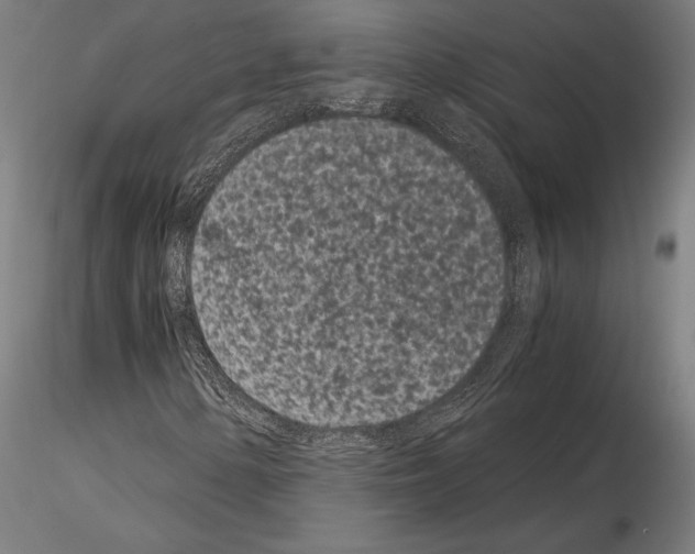 X0000115081154200912081205