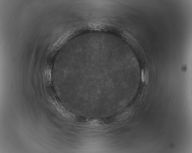 X0000115081155200912081205