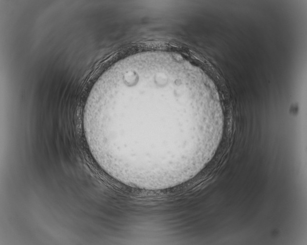 X0000115081156200912081205