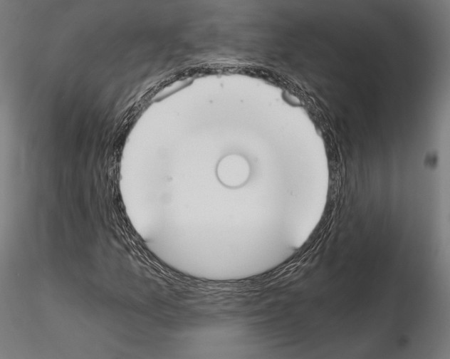 X0000115081157200912081205