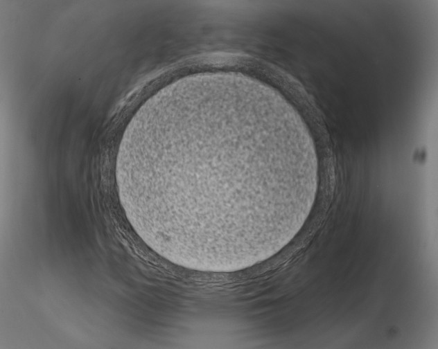 X0000115081158200912081205