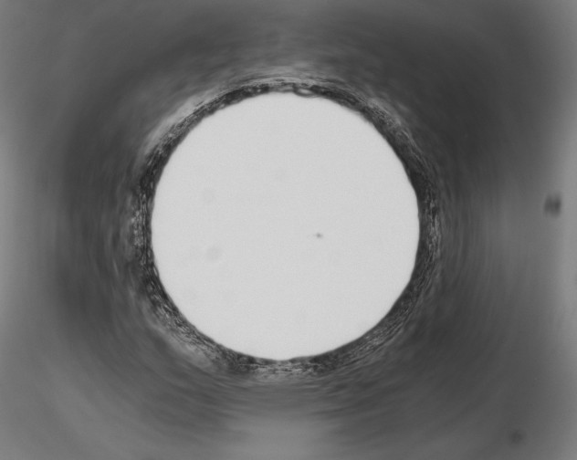 X0000115081159200912081205