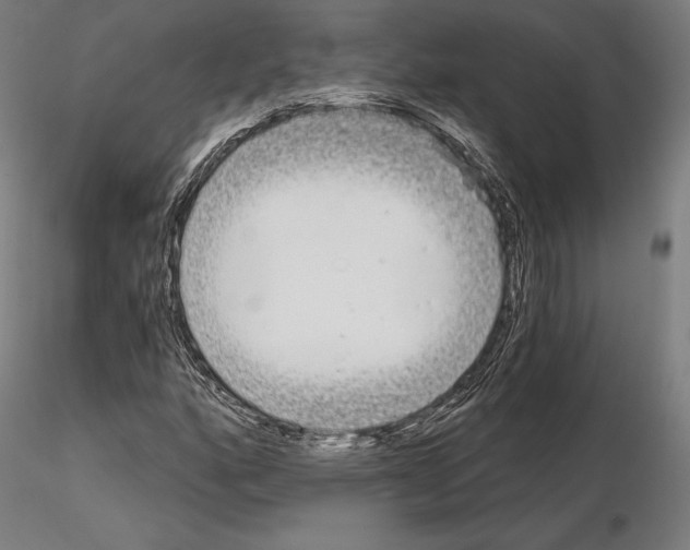 X0000115081160200912081205