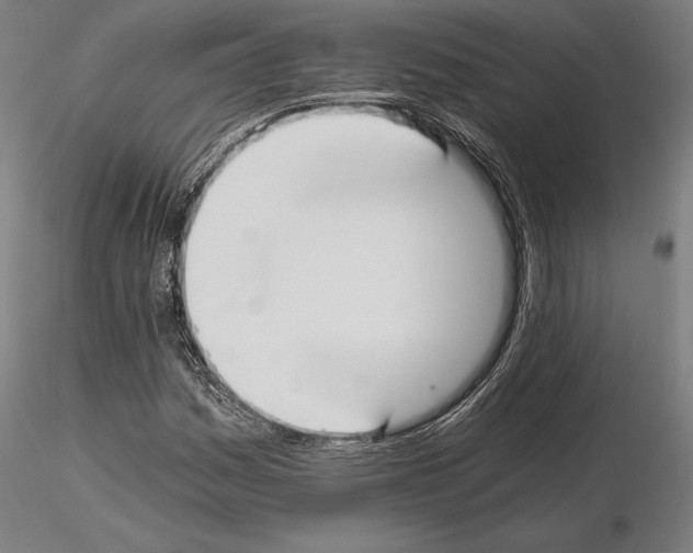 X0000115081161200912081205