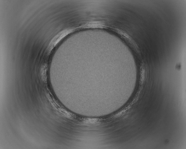 X0000115081162200912081205