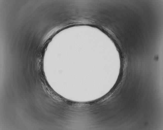 X0000115081163200912081205