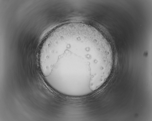 X0000115081164200912081205