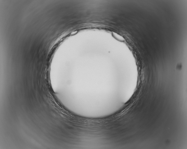 X0000115081165200912081205