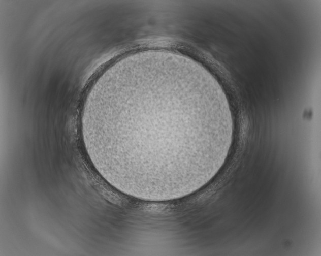 X0000115081166200912081205