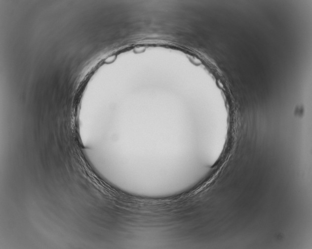 X0000115081167200912081205